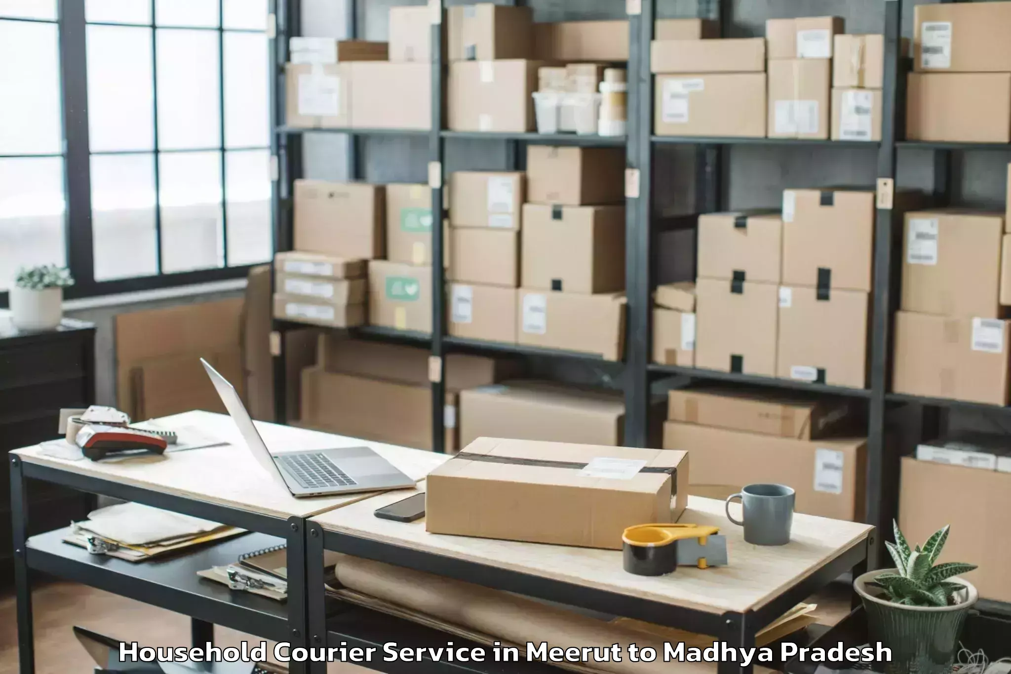 Hassle-Free Meerut to Bhopal Household Courier